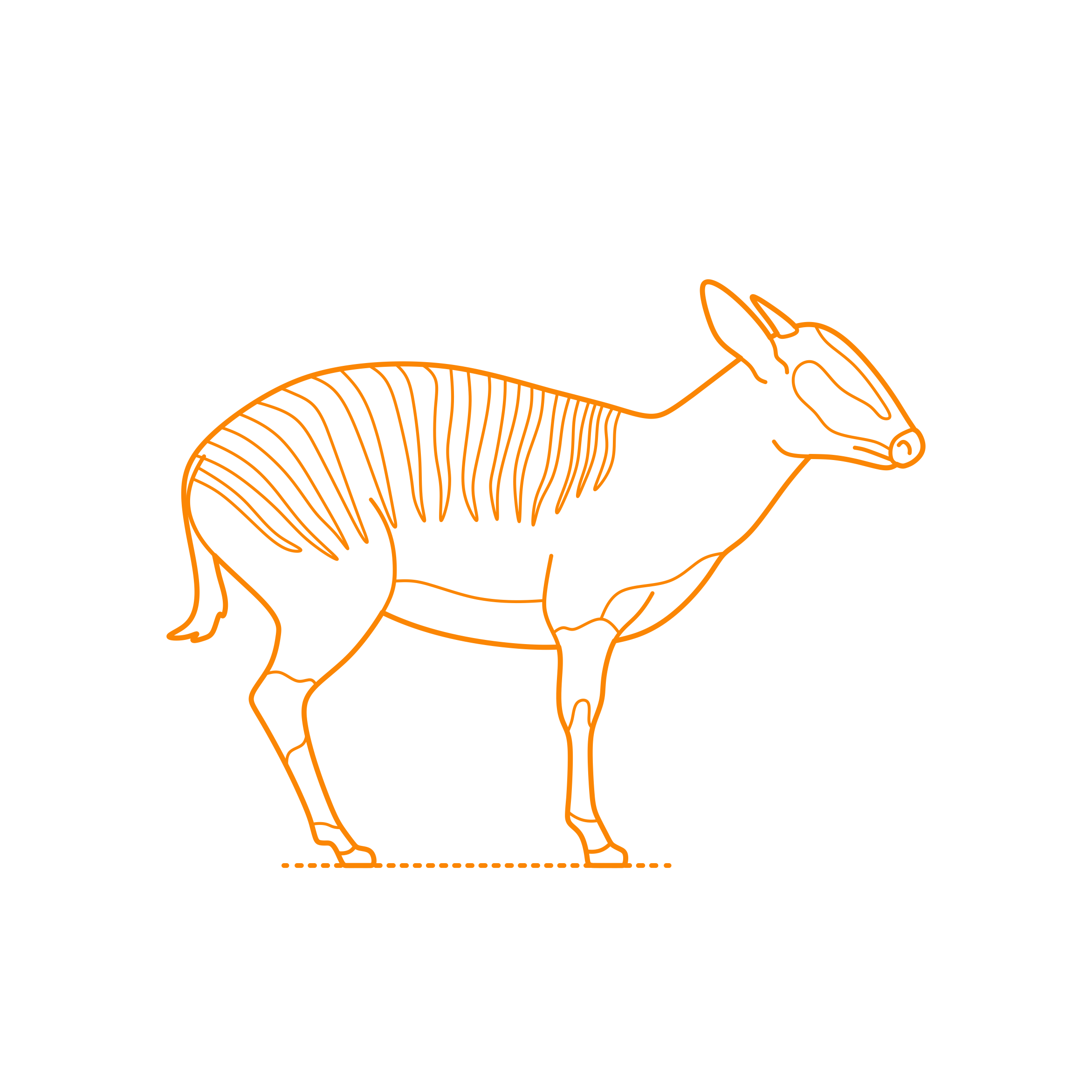 Animals Antelopes Zebra Duiker Sticker Svg Vector Free Vectors